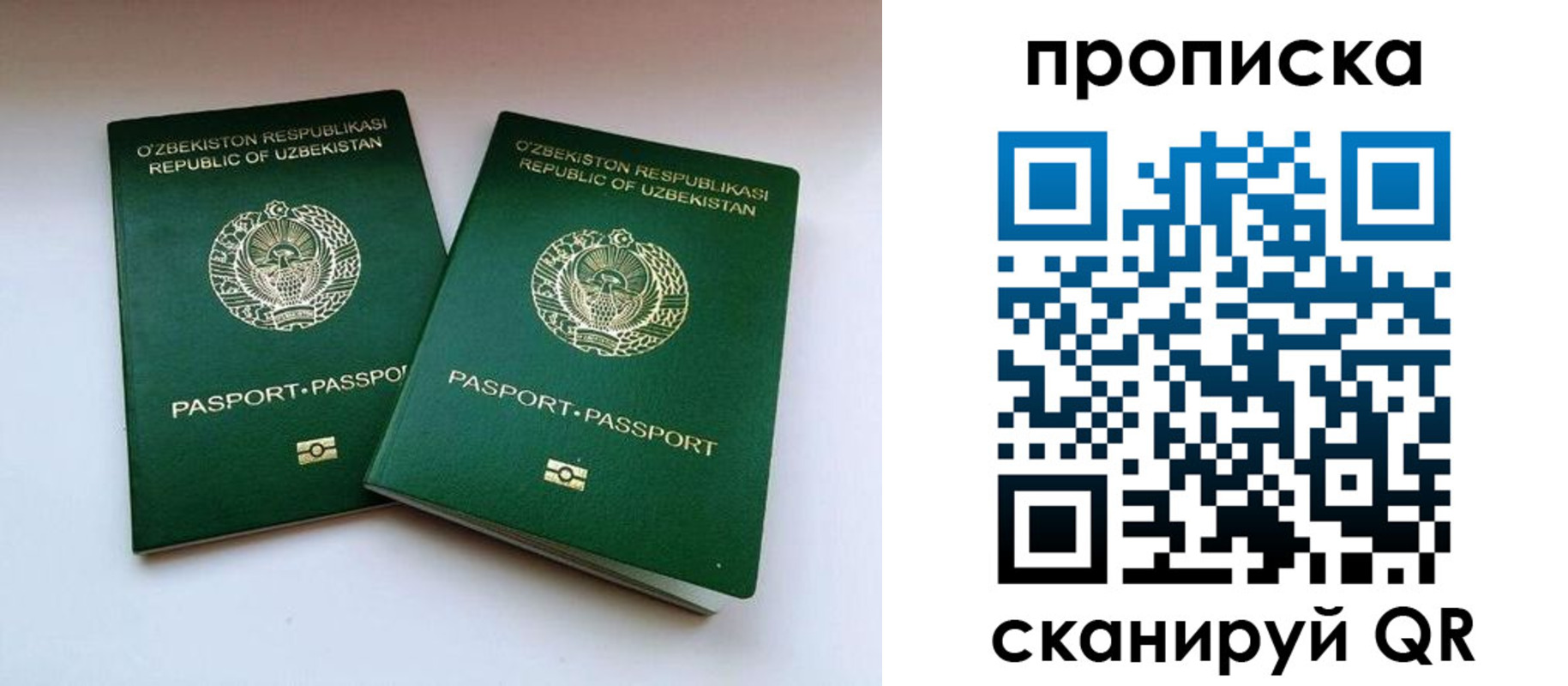 прописка поиск в Петушках